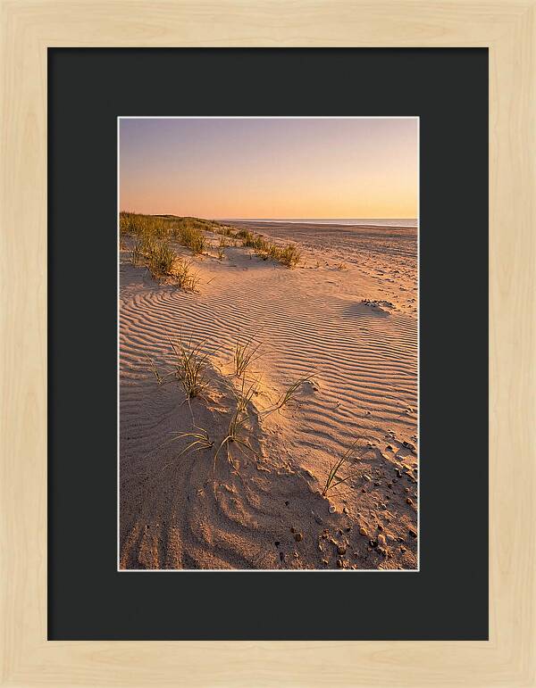 Cape Henlopen Dunes At Sunset