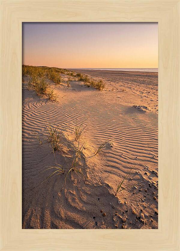 Cape Henlopen Dunes At Sunset