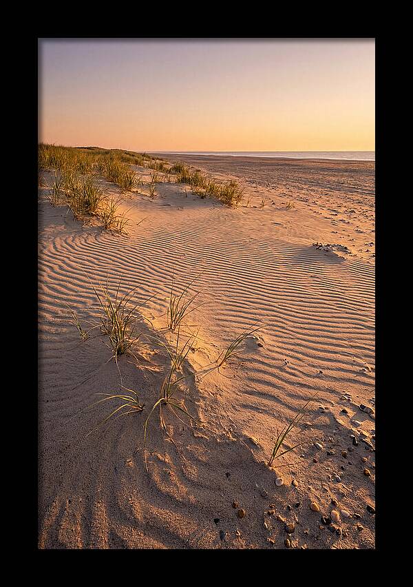 Cape Henlopen Dunes At Sunset