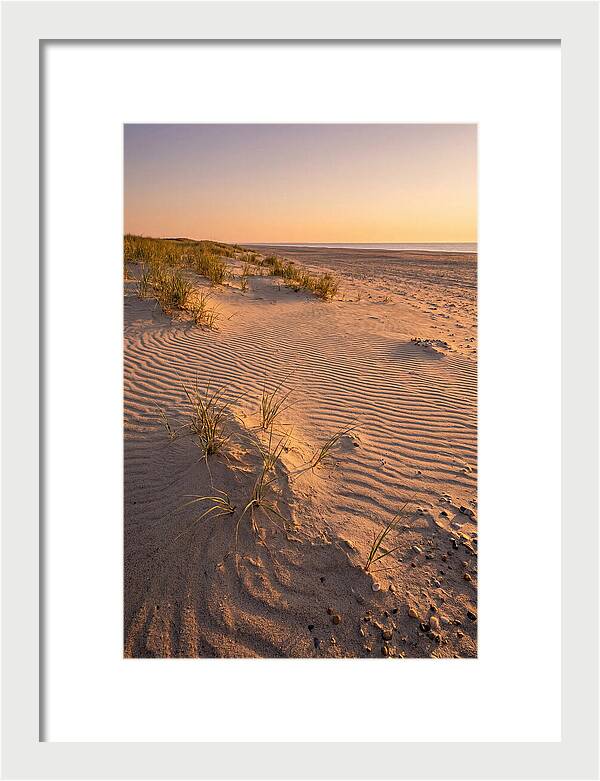 Cape Henlopen Dunes At Sunset