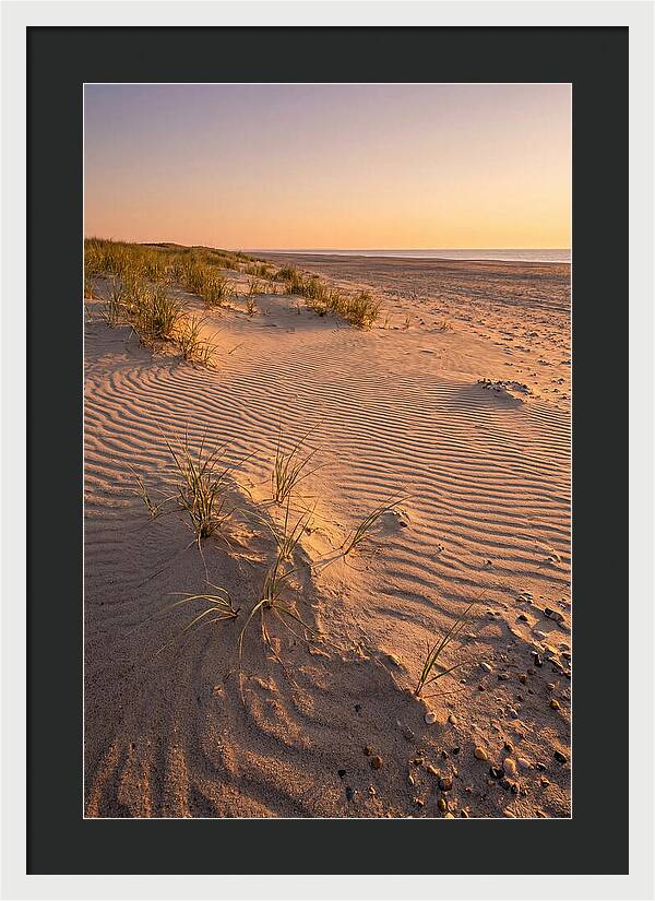 Cape Henlopen Dunes At Sunset