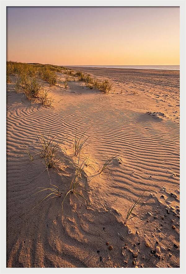 Cape Henlopen Dunes At Sunset
