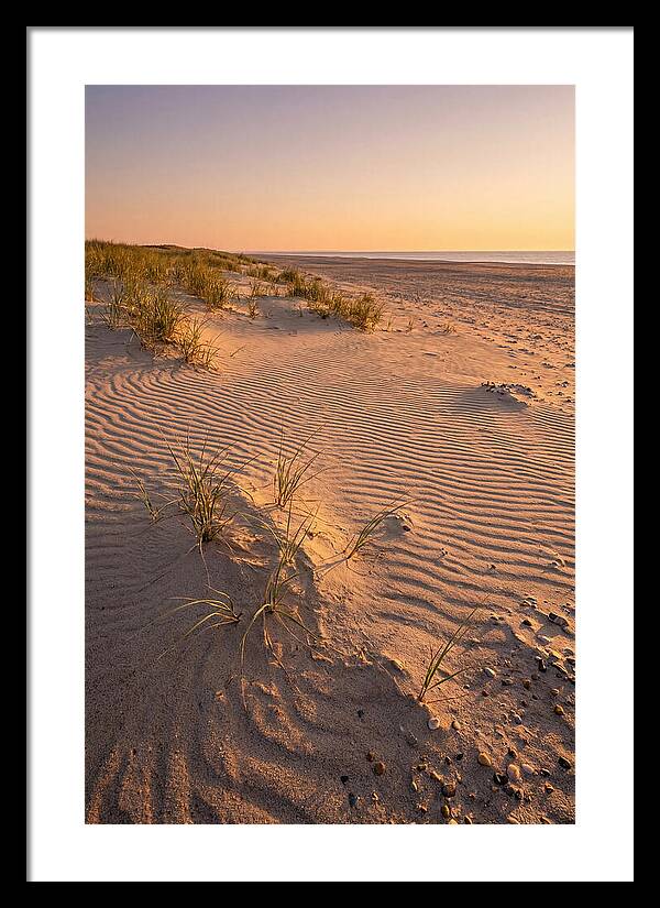 Cape Henlopen Dunes At Sunset