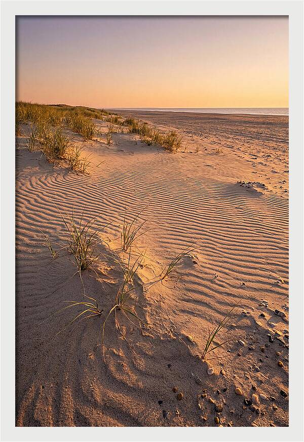 Cape Henlopen Dunes At Sunset