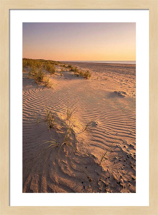Cape Henlopen Dunes At Sunset
