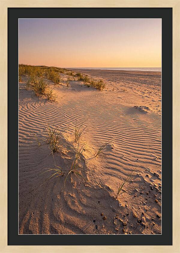 Cape Henlopen Dunes At Sunset