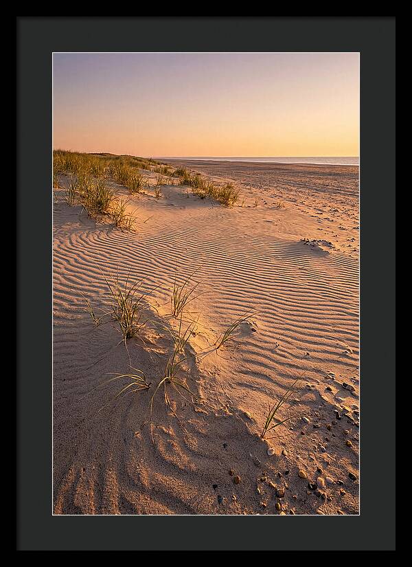 Cape Henlopen Dunes At Sunset