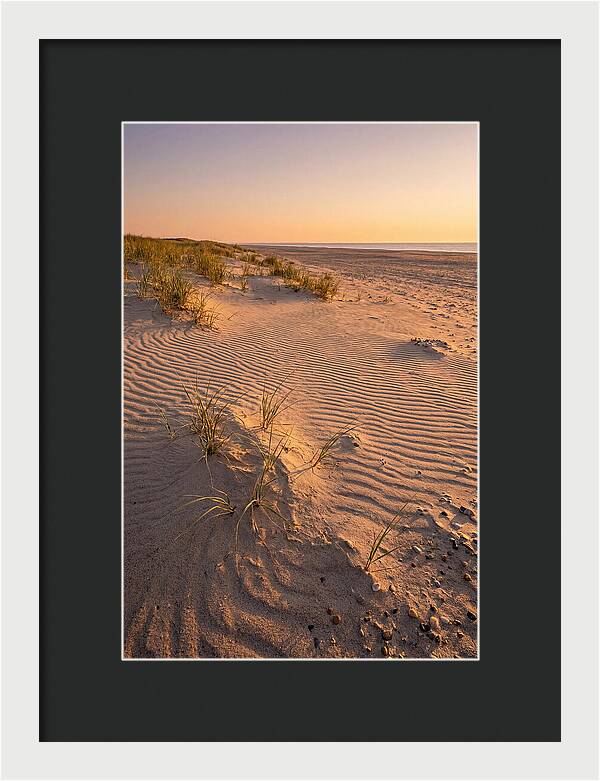 Cape Henlopen Dunes At Sunset