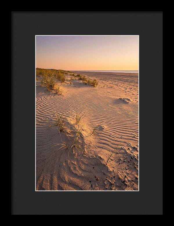 Cape Henlopen Dunes At Sunset
