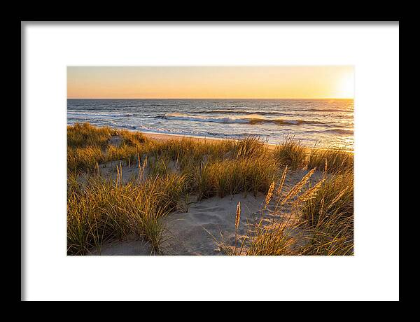 Cape Henlopen Serenity