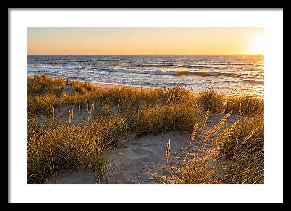 Cape Henlopen Serenity