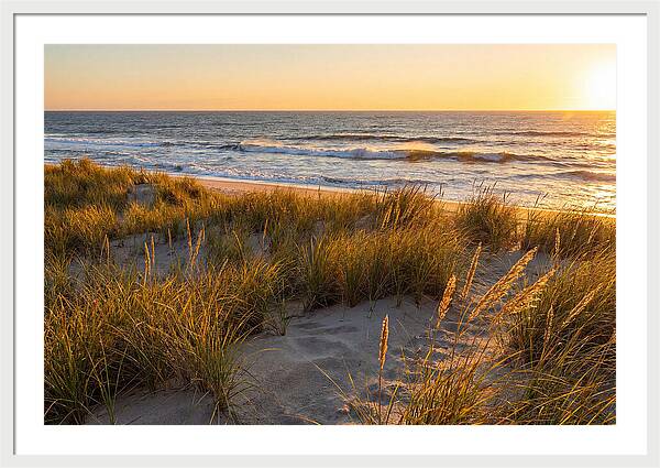 Cape Henlopen Serenity