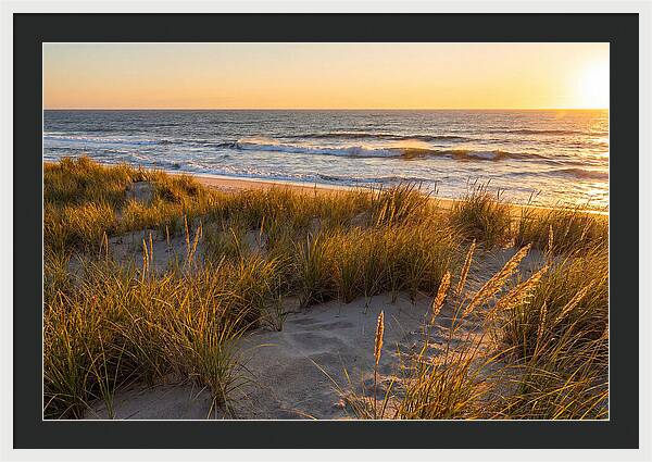 Cape Henlopen Serenity