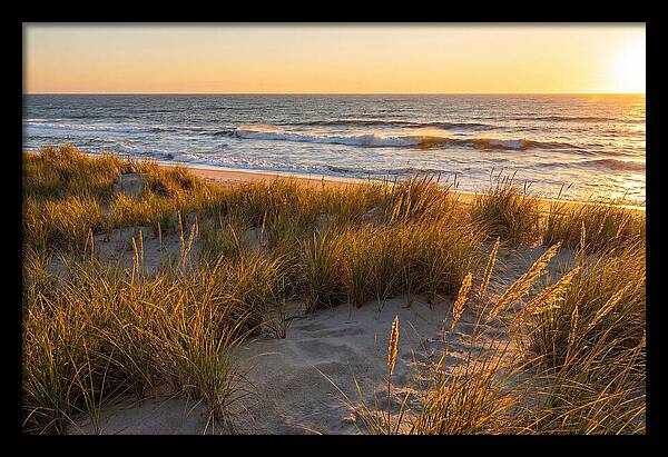 Cape Henlopen Serenity