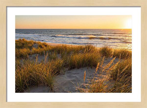 Cape Henlopen Serenity
