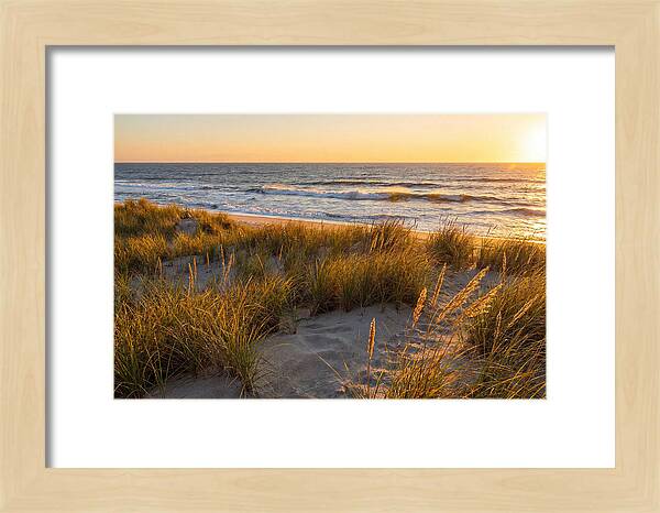 Cape Henlopen Serenity