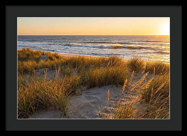Cape Henlopen Serenity