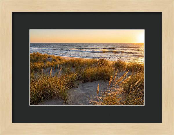 Cape Henlopen Serenity