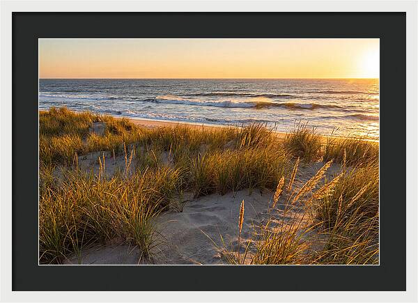 Cape Henlopen Serenity