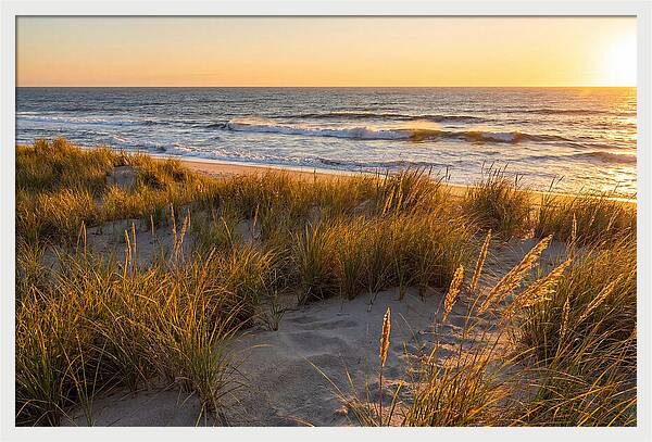 Cape Henlopen Serenity
