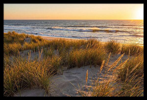 Cape Henlopen Serenity