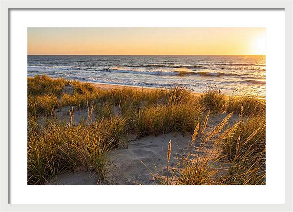 Cape Henlopen Serenity