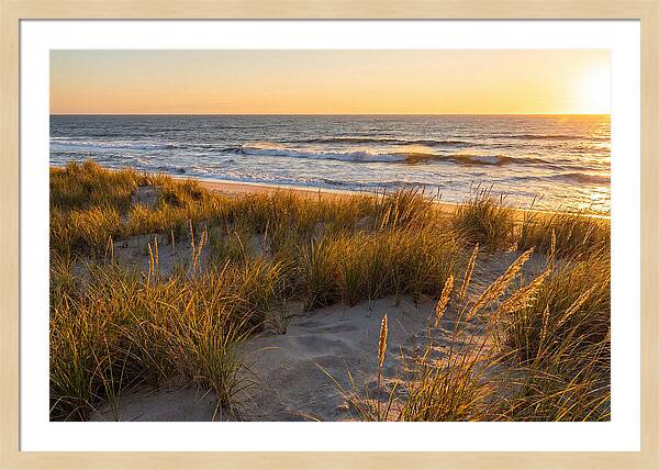 Cape Henlopen Serenity