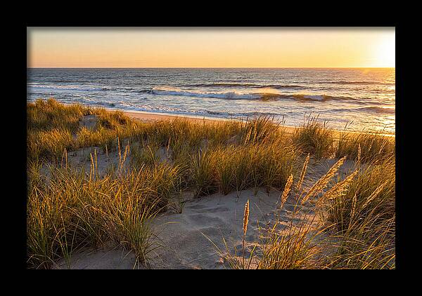Cape Henlopen Serenity
