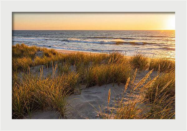 Cape Henlopen Serenity