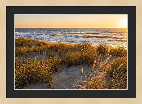 Cape Henlopen Serenity