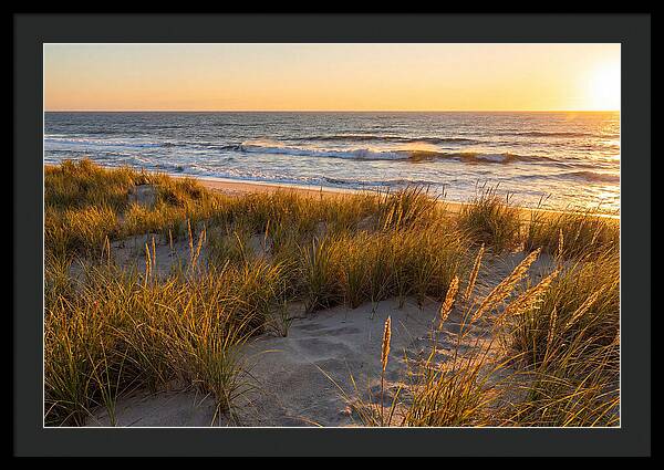 Cape Henlopen Serenity