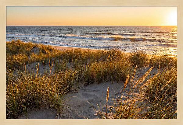 Cape Henlopen Serenity