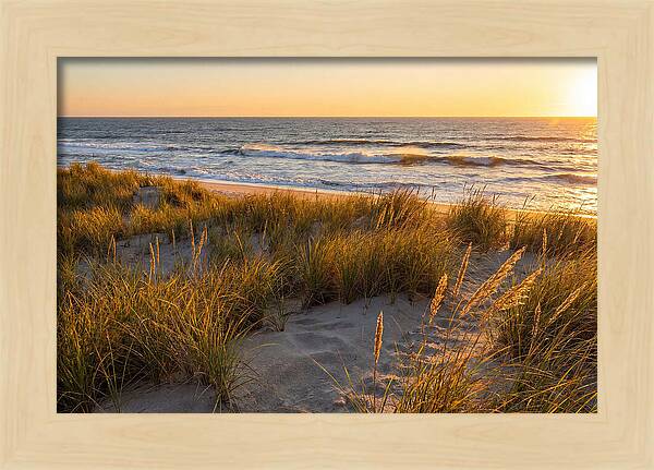 Cape Henlopen Serenity