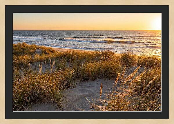 Cape Henlopen Serenity