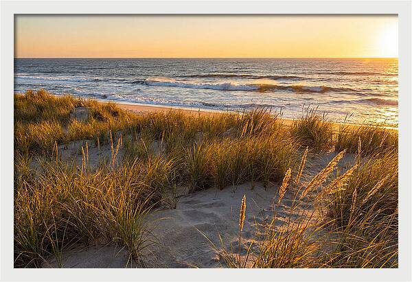 Cape Henlopen Serenity