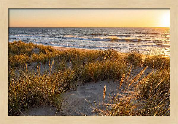 Cape Henlopen Serenity