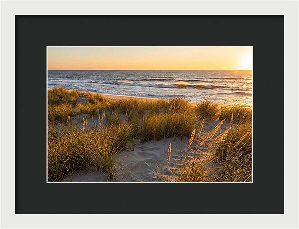 Cape Henlopen Serenity