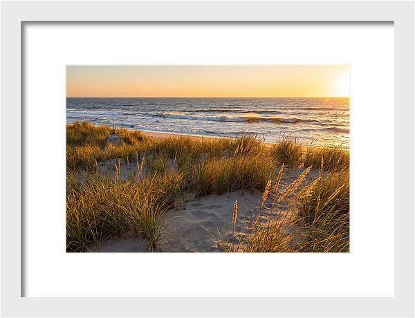 Cape Henlopen Serenity