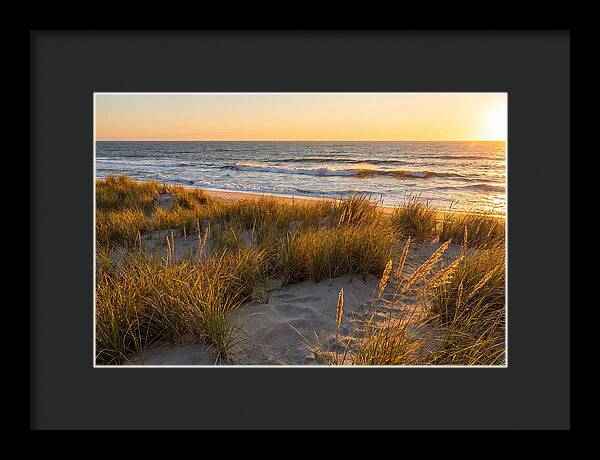 Cape Henlopen Serenity