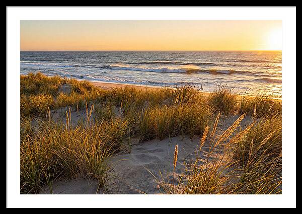 Cape Henlopen Serenity