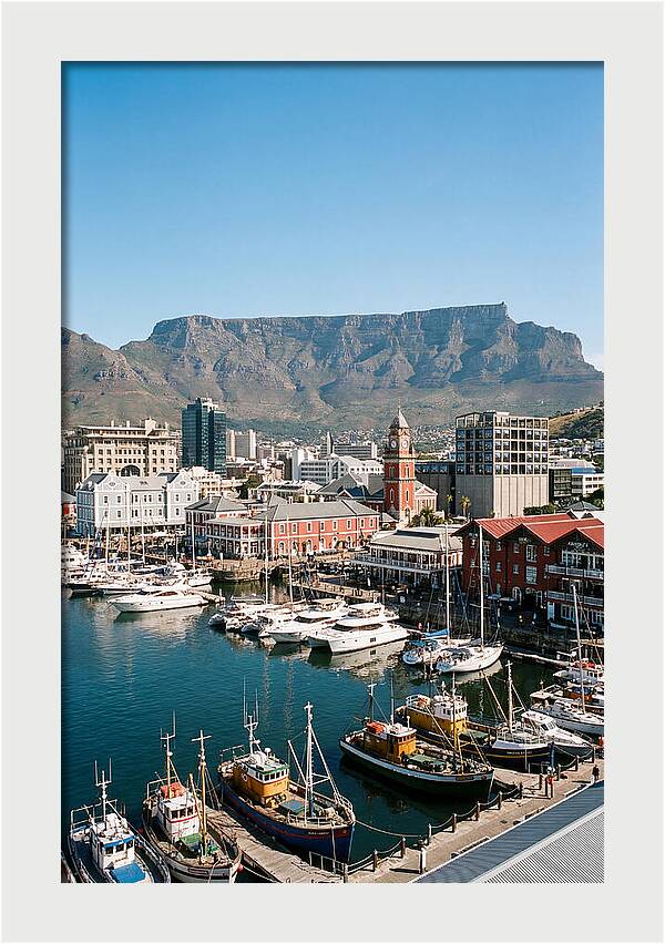 Cape Towns Vibrant Waterfront