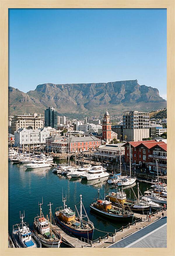 Cape Towns Vibrant Waterfront