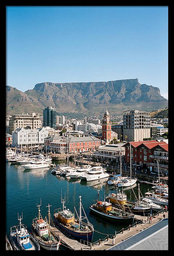Cape Towns Vibrant Waterfront