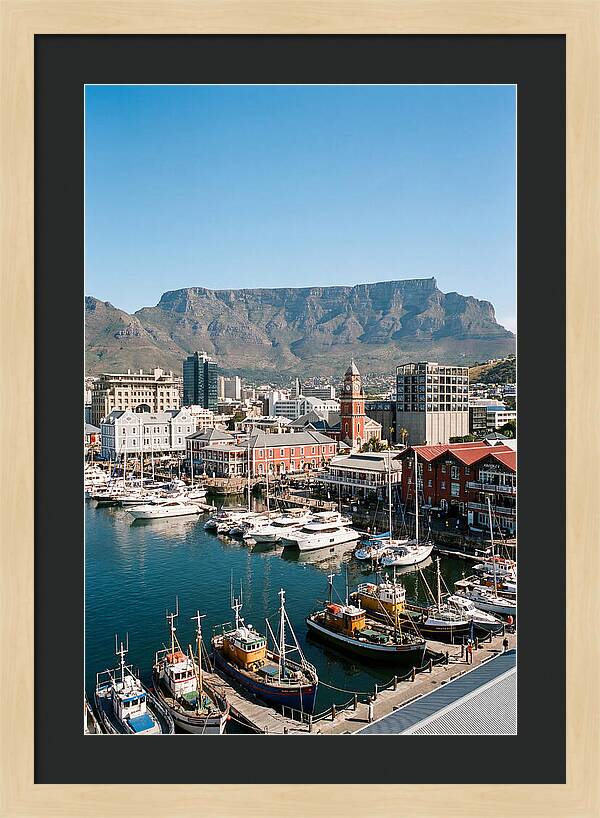 Cape Towns Vibrant Waterfront