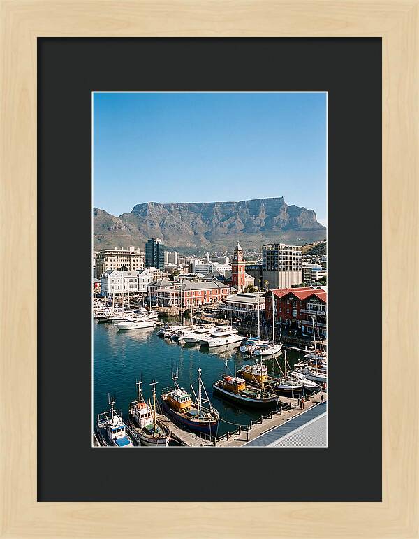 Cape Towns Vibrant Waterfront