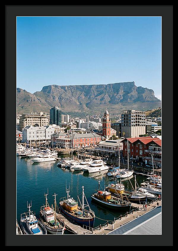Cape Towns Vibrant Waterfront