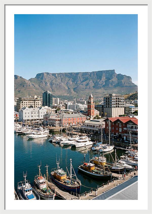Cape Towns Vibrant Waterfront