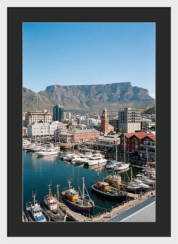 Cape Towns Vibrant Waterfront