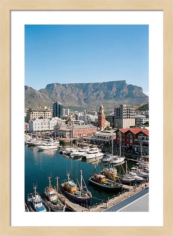 Cape Towns Vibrant Waterfront