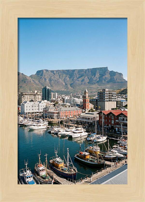 Cape Towns Vibrant Waterfront